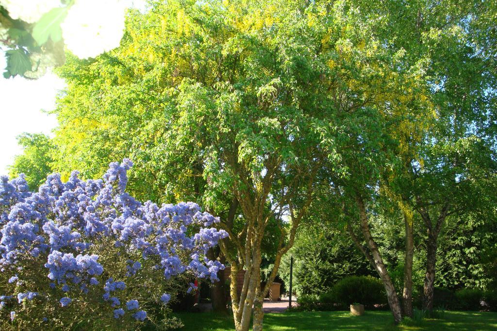 Au Jardin D'Eloise Bed and Breakfast Tremereuc Εξωτερικό φωτογραφία